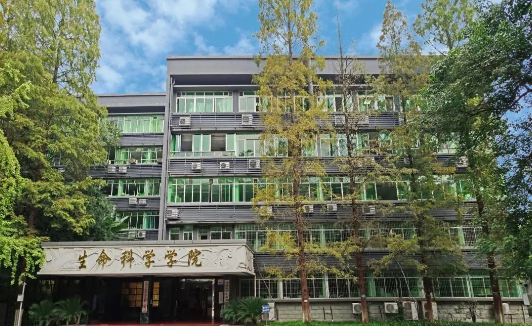 高颜值大学 排名 人民日报评选_重庆大学地理位置