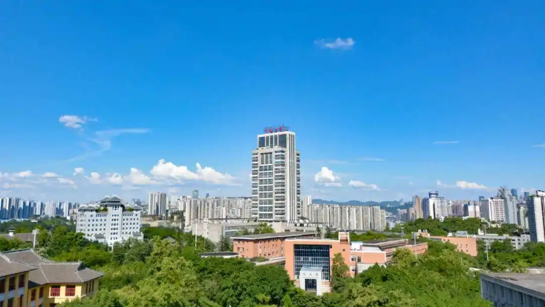 重庆大学地理位置_重庆大学办学特色_重庆大学历史沿革
