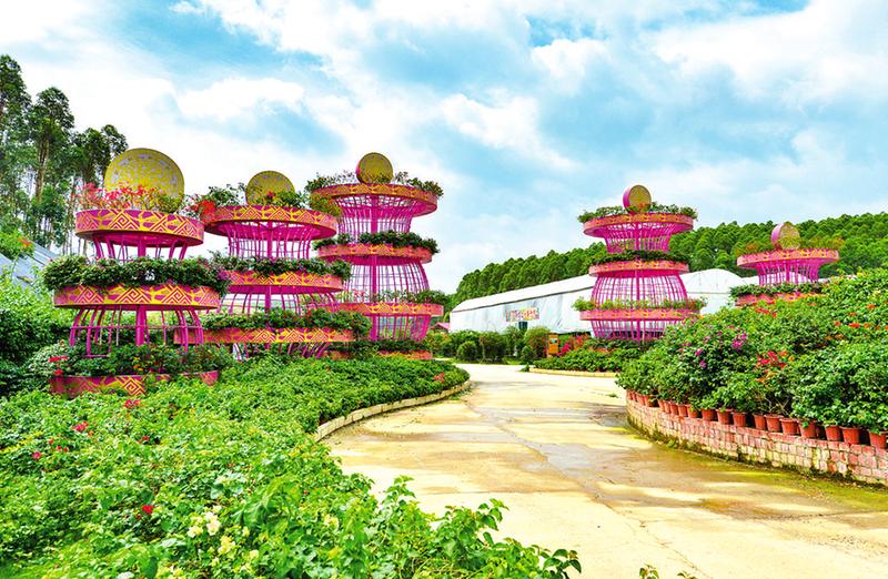 上林县旅游风景区_上林县全域旅游示范区_生态旅游活动