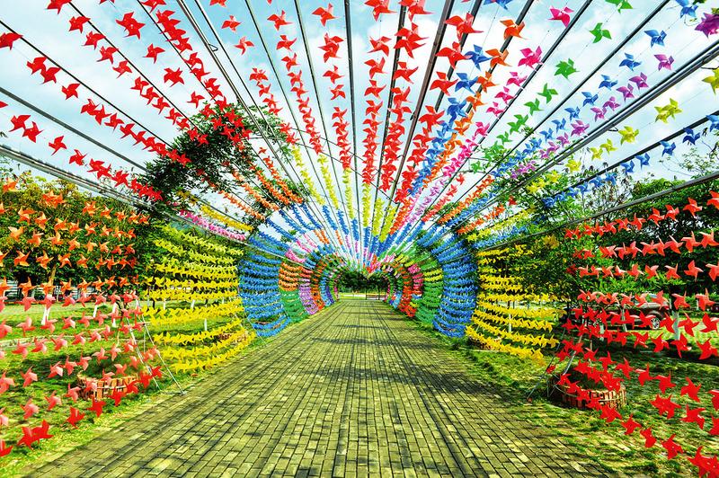 上林县旅游风景区_上林县全域旅游示范区_生态旅游活动