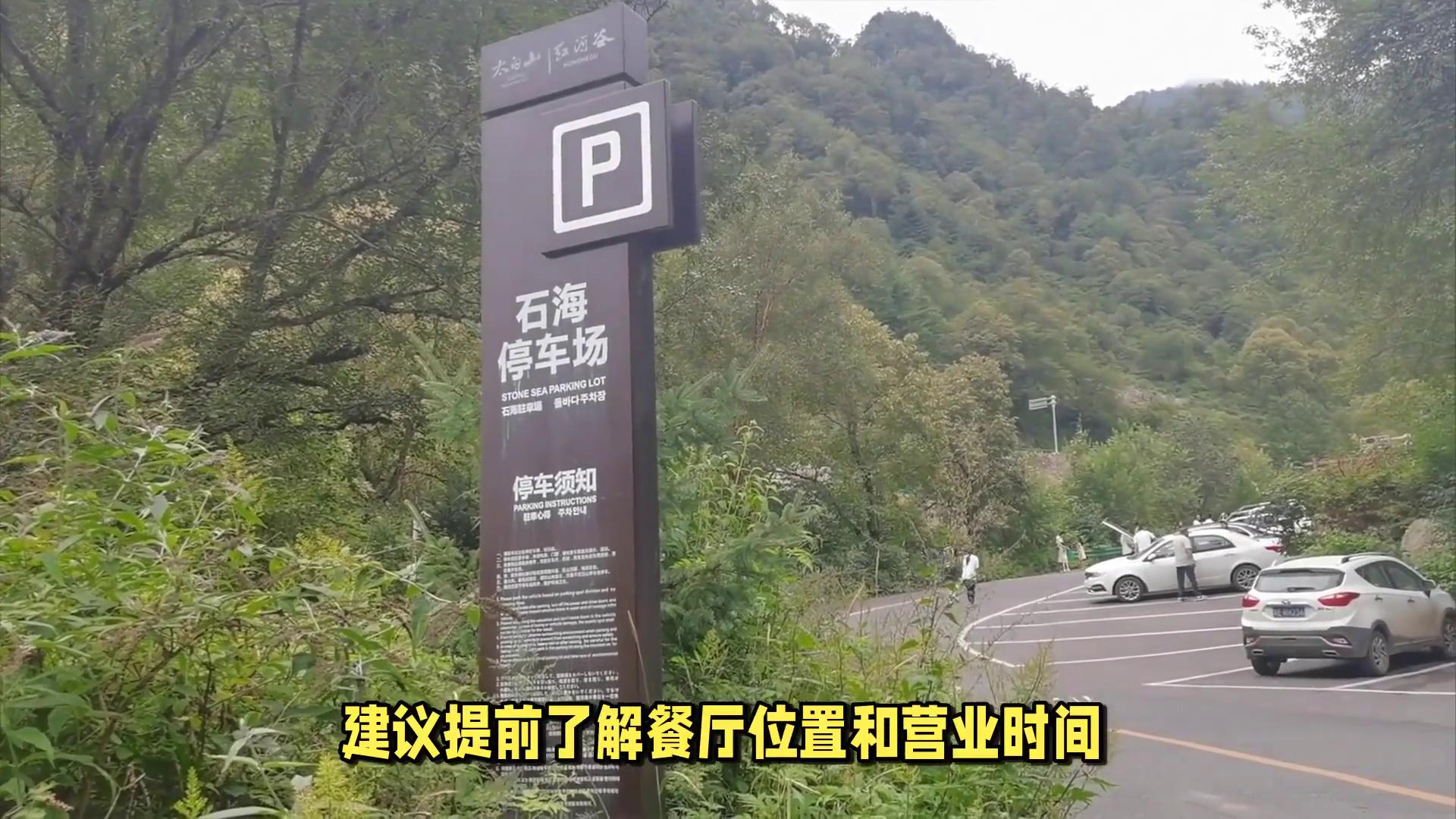 湘潭盘龙大观园一日游攻略_湘潭盘龙大观园门票价格_湘潭到长沙生态动物园