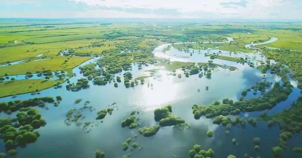 湿地白酒_生态苏酒价格表和图片_生态苏酒