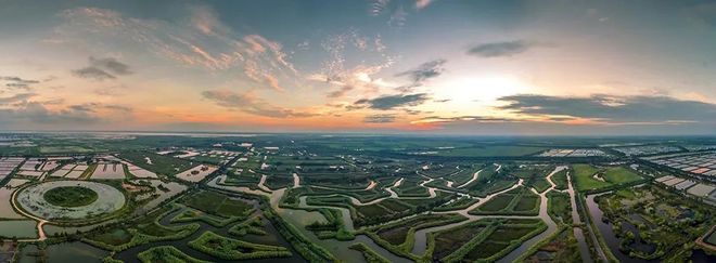 次高端白酒市场分析_双沟生态苏酒_生态苏酒价格表和图片
