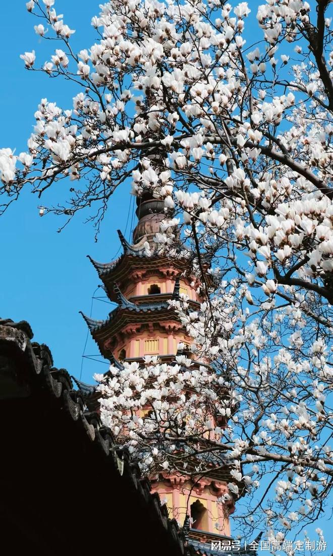 苏州靠谱导游团队_苏州纯玩无购物导游推荐_苏州拙政园到周庄