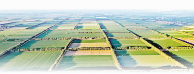 防沙治沙科技应用_内蒙古沙漠化_荒漠化防治工程