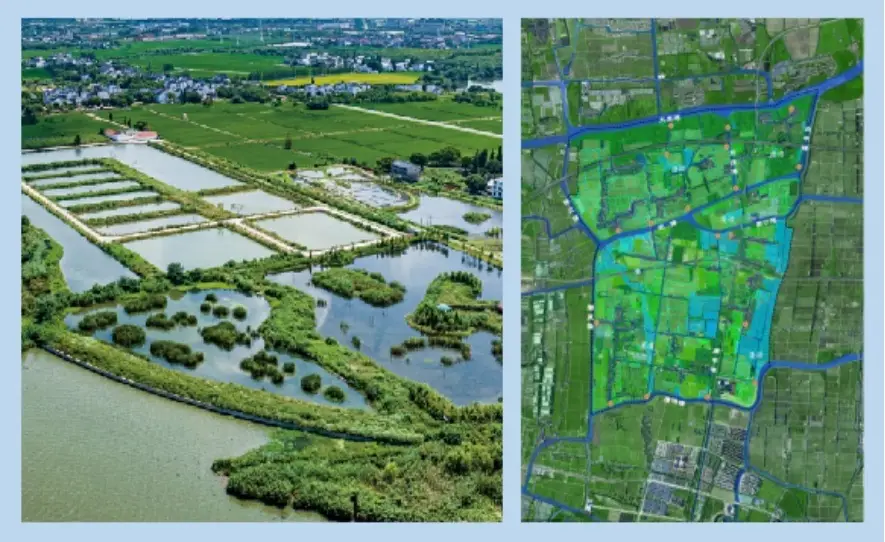 上海湿地公园哪个好玩_溇沼湿地翁家浜湿地_上海湿地指南