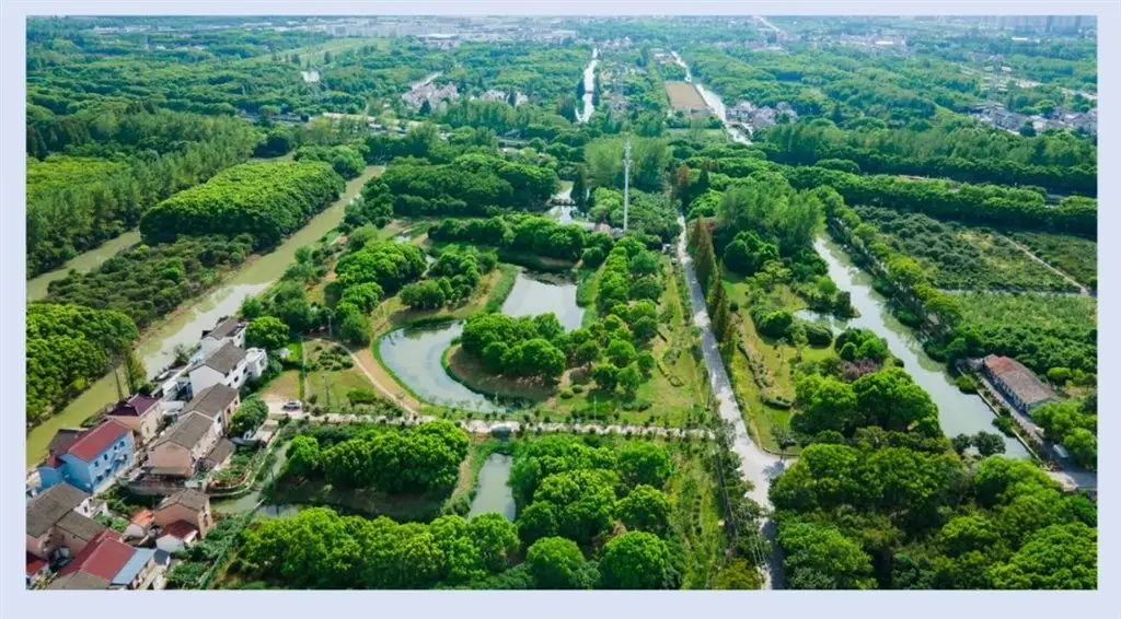 上海湿地指南_溇沼湿地翁家浜湿地_上海湿地公园哪个好玩