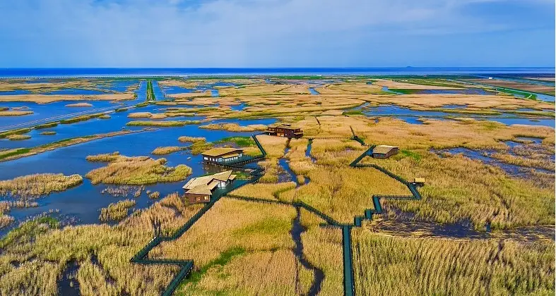 上海湿地指南_溇沼湿地翁家浜湿地_上海湿地公园哪个好玩
