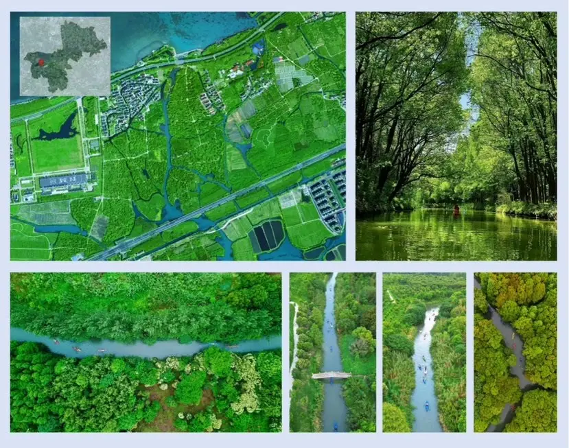 上海湿地指南_上海湿地公园哪个好玩_溇沼湿地翁家浜湿地