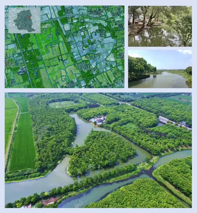 上海湿地公园哪个好玩_溇沼湿地翁家浜湿地_上海湿地指南