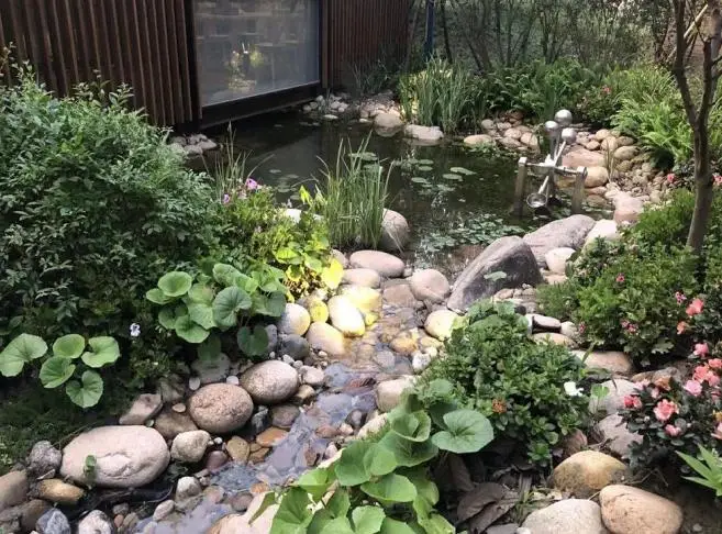 溇沼湿地翁家浜湿地_上海湿地指南_上海湿地公园哪个好玩