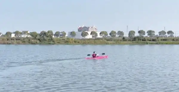 上海湿地公园哪个好玩_上海湿地秘境_金山枫泾新元村湿地