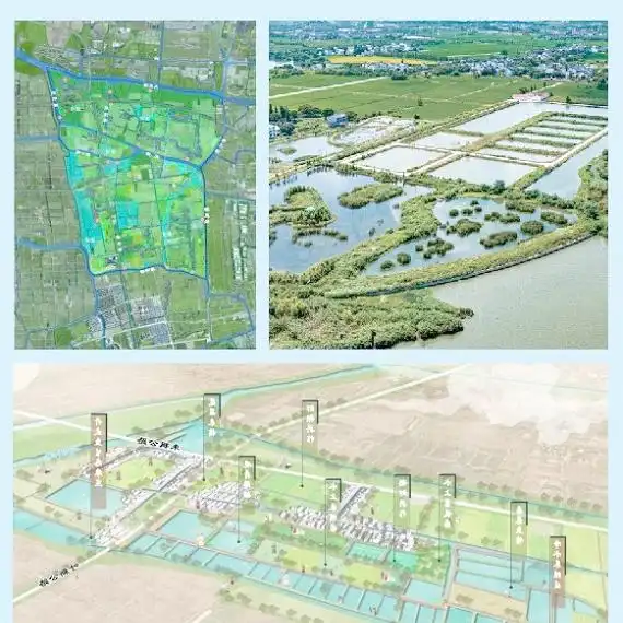上海湿地秘境_金山枫泾新元村湿地_上海湿地公园哪个好玩