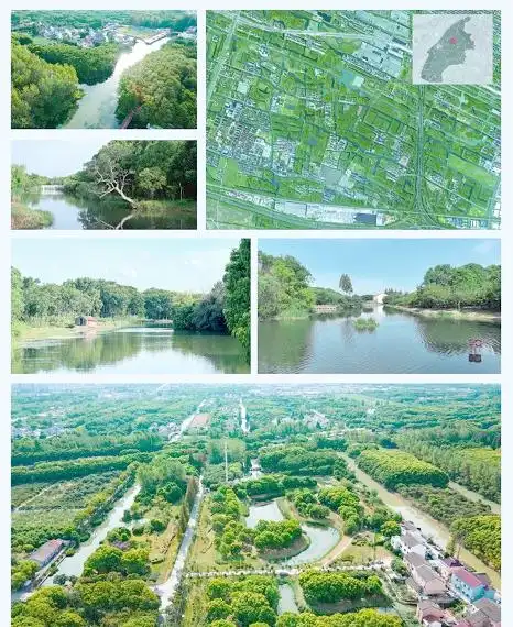 上海湿地秘境_上海湿地公园哪个好玩_金山枫泾新元村湿地