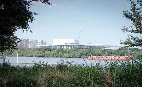 上海湿地秘境_上海湿地公园哪个好玩_金山枫泾新元村湿地