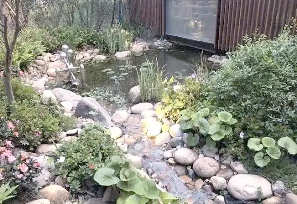 上海湿地秘境_金山枫泾新元村湿地_上海湿地公园哪个好玩