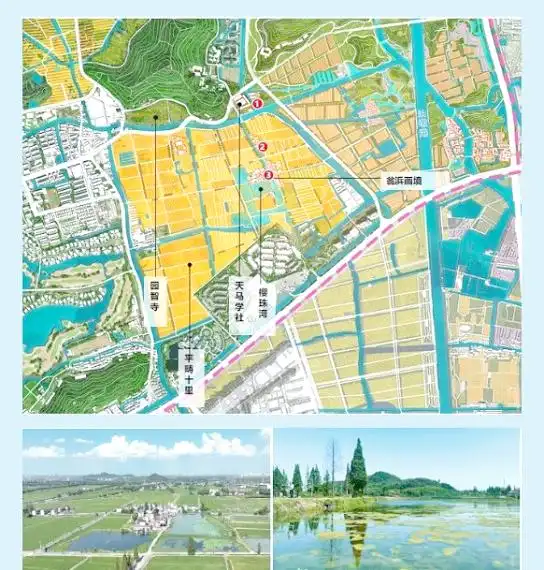 上海湿地秘境_金山枫泾新元村湿地_上海湿地公园哪个好玩