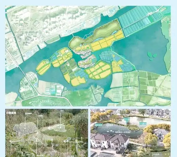 上海湿地公园哪个好玩_金山枫泾新元村湿地_上海湿地秘境