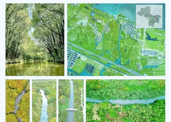 金山枫泾新元村湿地_上海湿地公园哪个好玩_上海湿地秘境