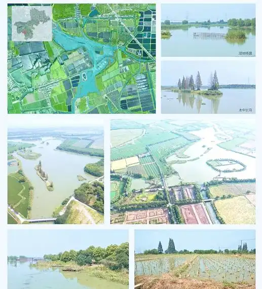 上海湿地秘境_金山枫泾新元村湿地_上海湿地公园哪个好玩