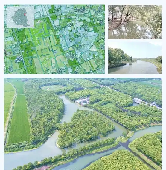 上海湿地公园哪个好玩_金山枫泾新元村湿地_上海湿地秘境