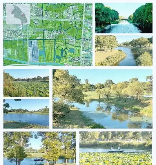 上海湿地秘境_金山枫泾新元村湿地_上海湿地公园哪个好玩