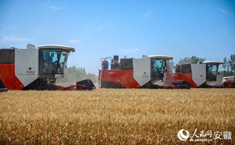 固镇县产业立县工业强县教育兴县文旅富县_安徽省固镇县教育局