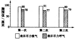 一个生态系统调查表_果园生态系统 生物能量流动 果园生物关系