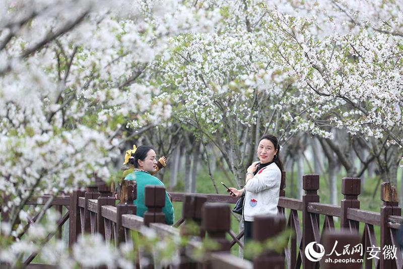 固镇县农业产业化全程机械化发展历程_固镇县产业立县工业强县教育兴县文旅富县_安徽省固镇县教育局