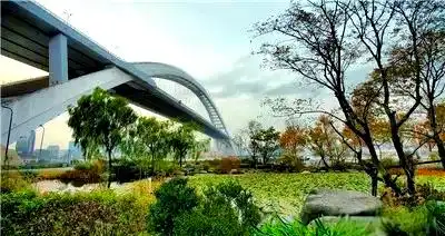 上海崇明西沙湿地公园_上海湿地公园哪个好玩_崇明西沙湿地公园自然景观