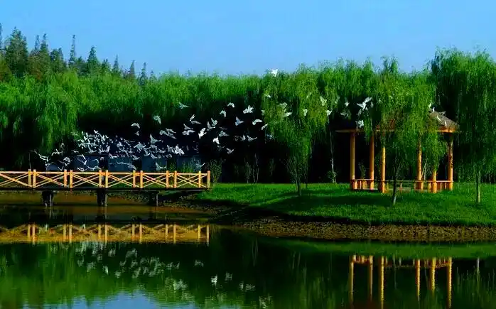 上海湿地公园哪个好玩_崇明西沙湿地公园自然景观_上海崇明西沙湿地公园