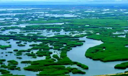 崇明西沙湿地公园自然景观_上海湿地公园哪个好玩_上海崇明西沙湿地公园