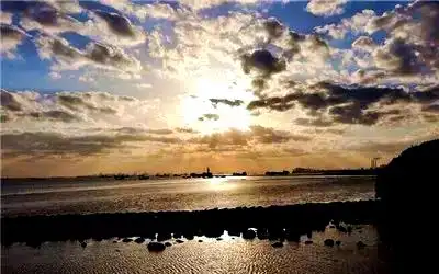 上海湿地公园哪个好玩_上海崇明西沙湿地公园_崇明西沙湿地公园自然景观