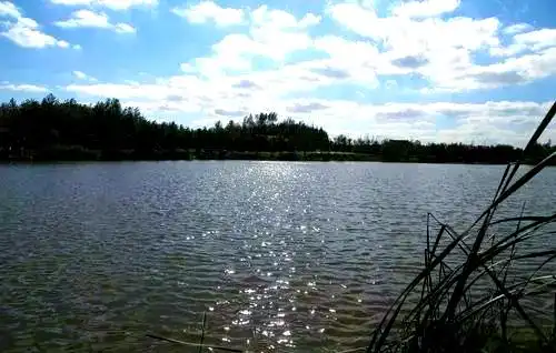 上海崇明西沙湿地公园_崇明西沙湿地公园自然景观_上海湿地公园哪个好玩