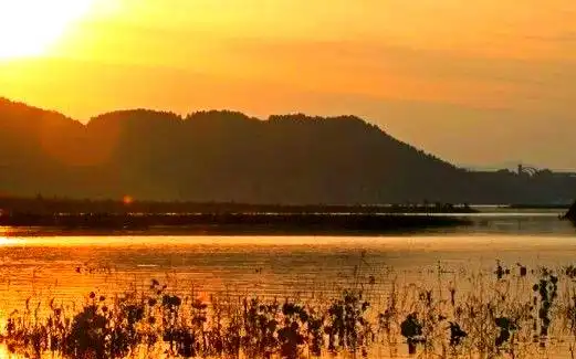 崇明西沙湿地公园自然景观_上海湿地公园哪个好玩_上海崇明西沙湿地公园