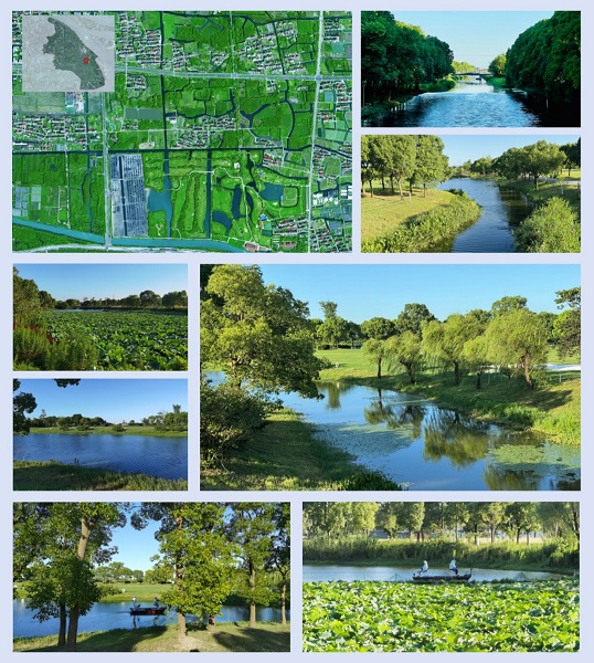 首批13个湿地空间_上海湿地公园哪个好玩_上海湿地秘境