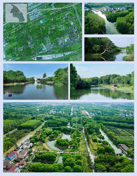 首批13个湿地空间_上海湿地秘境_上海湿地公园哪个好玩