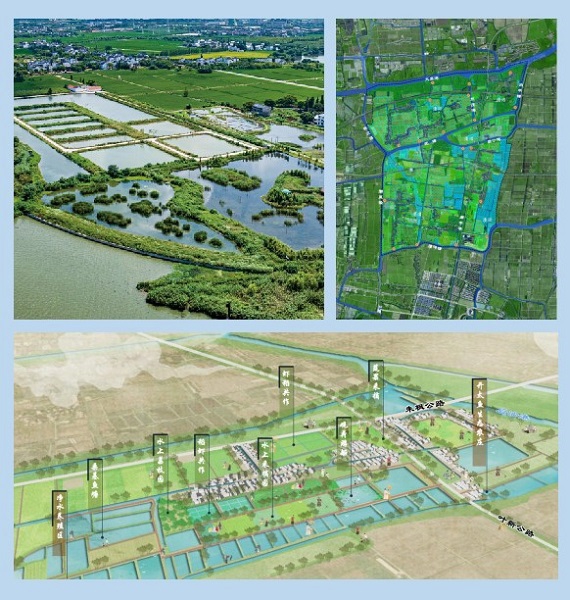 上海湿地公园哪个好玩_上海湿地秘境_首批13个湿地空间