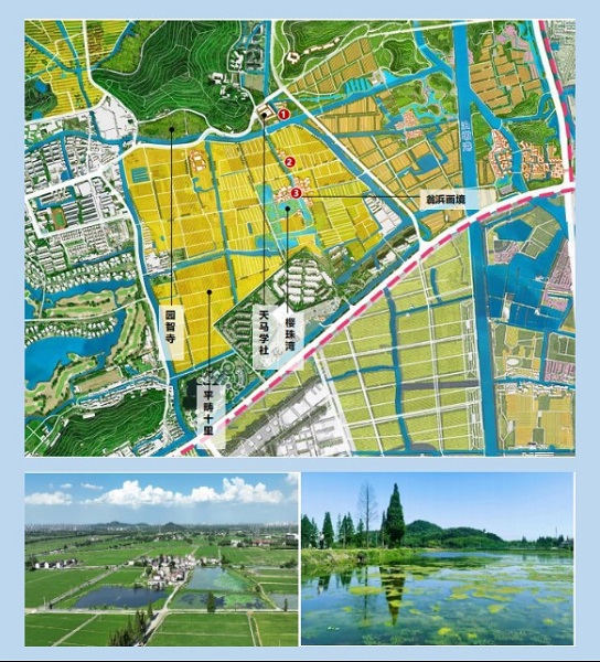 上海湿地秘境_首批13个湿地空间_上海湿地公园哪个好玩