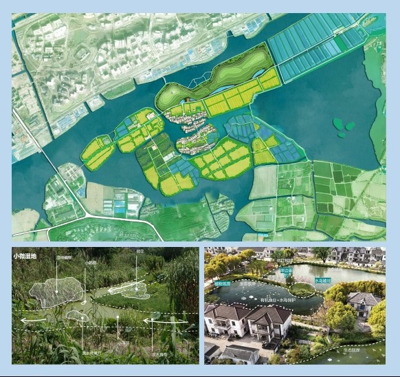 首批13个湿地空间_上海湿地公园哪个好玩_上海湿地秘境