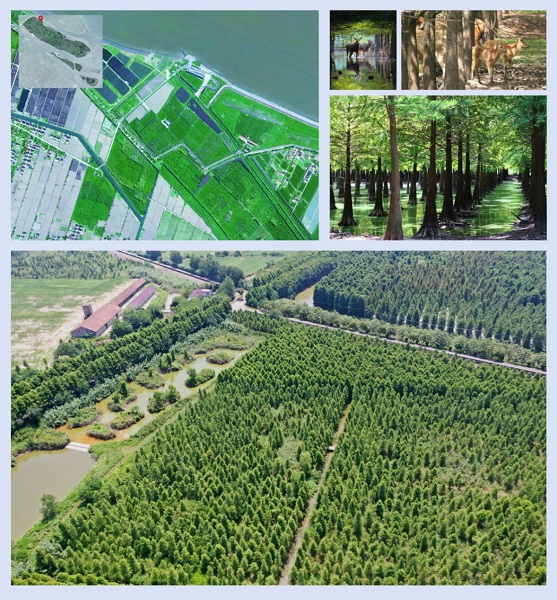 上海湿地公园哪个好玩_上海湿地秘境_首批13个湿地空间