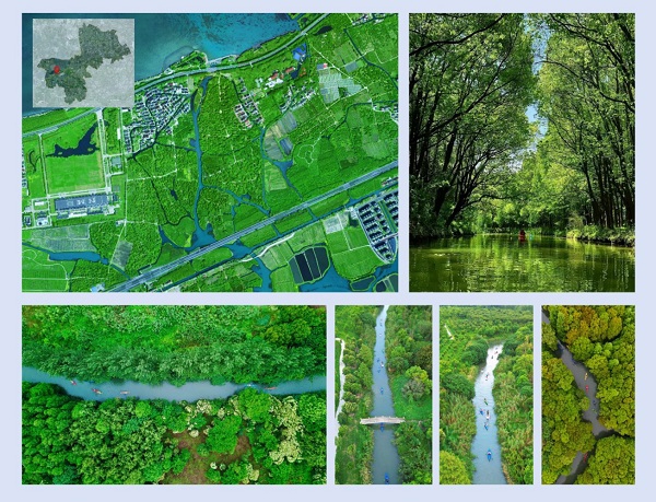 上海湿地公园哪个好玩_首批13个湿地空间_上海湿地秘境