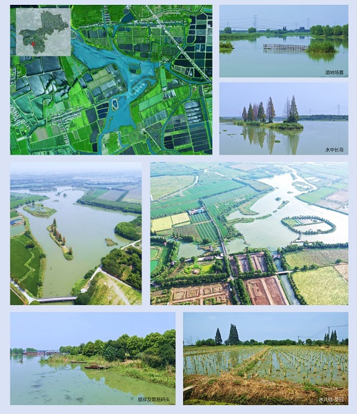 上海湿地公园哪个好玩_首批13个湿地空间_上海湿地秘境