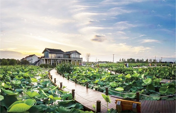 上海湿地秘境_上海湿地公园哪个好玩_首批13个湿地空间