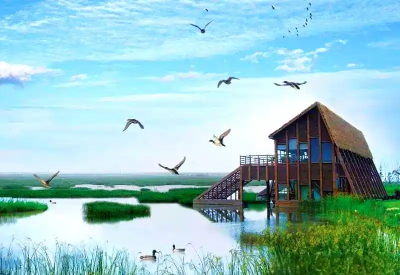 西沙湿地公园_上海湿地公园哪个好玩_上海东滩湿地公园
