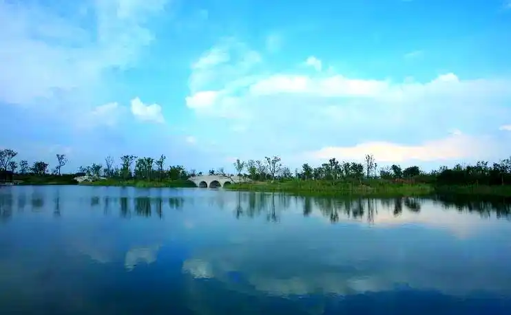 西沙湿地公园_上海东滩湿地公园_上海湿地公园哪个好玩