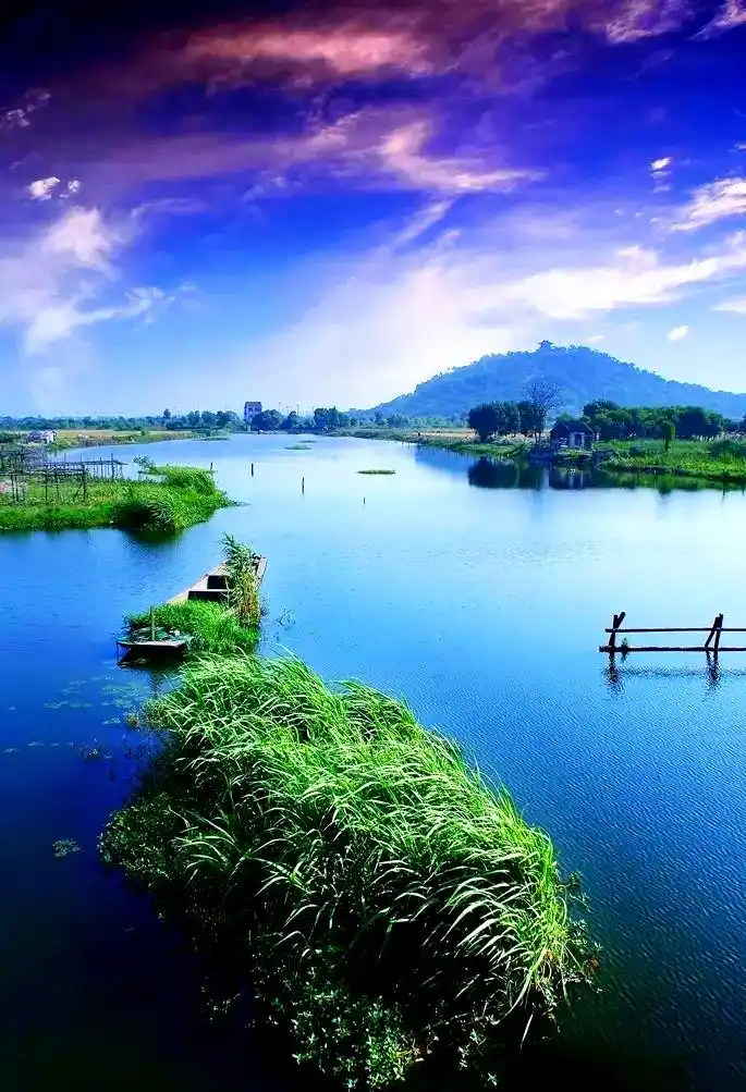 上海湿地公园哪个好玩_西沙湿地公园_上海东滩湿地公园