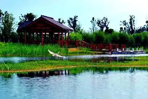 西沙湿地公园_上海湿地公园哪个好玩_上海东滩湿地公园