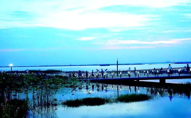 上海湿地公园哪个好玩_西沙湿地公园_上海东滩湿地公园