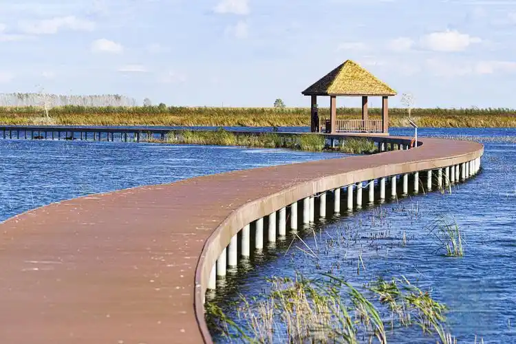 西沙湿地公园_上海东滩湿地公园_上海湿地公园哪个好玩